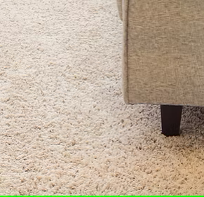 steam-clean-carpet_edited steam-clean-carpet